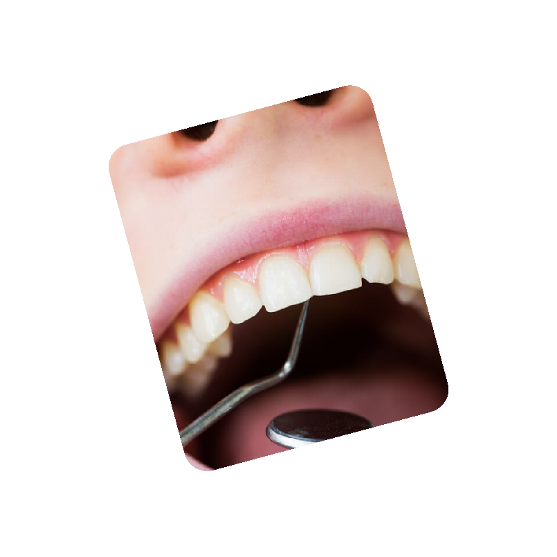 <b>Periodontologia</b>