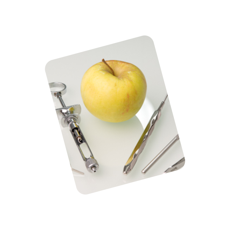 <b>Stomatologia zachowawczcza</b>